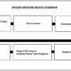 Organ Grinder - Image 7